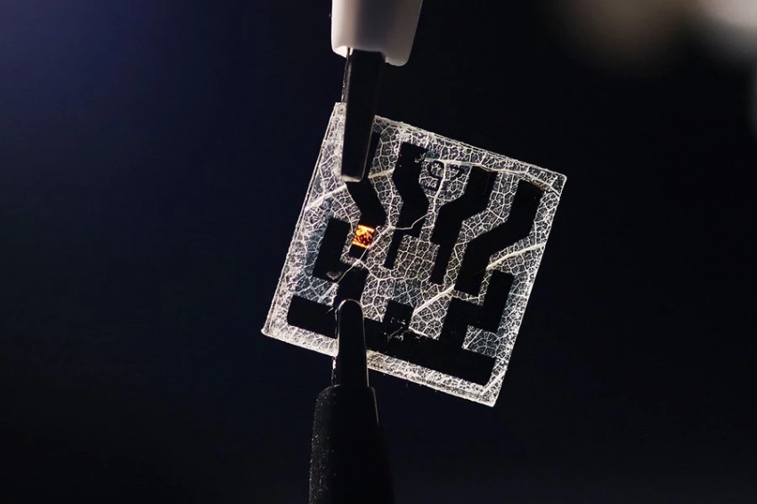 Производство печатных плат из листьев сделает электронику более экологичной