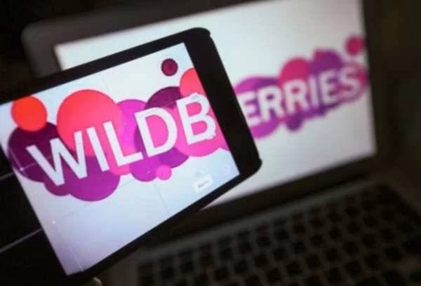 Крупнейшие онлайн-ритейлеры Wildberries и Ozon закрываются до нового года: причины и последствия
