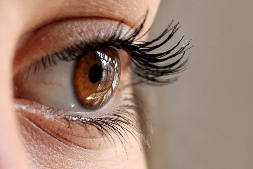 Исследователи выяснили, как человеческие ресницы способствуют оттоку воды