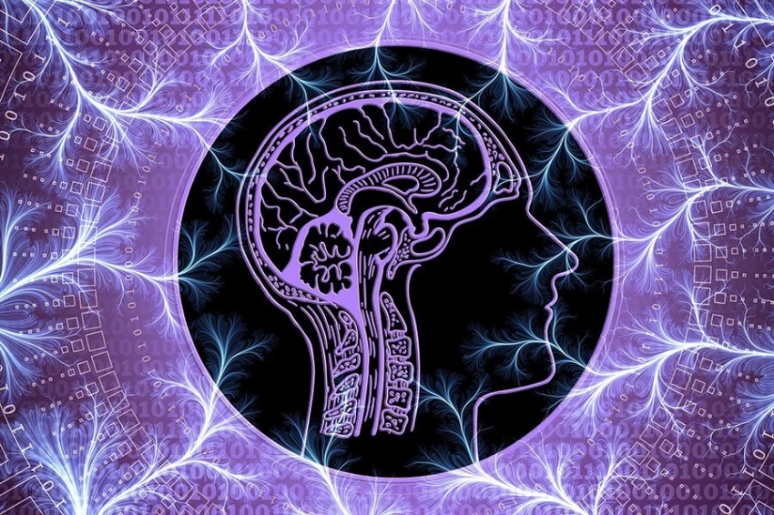 Исследователи количественно оценили скорость человеческой мысли