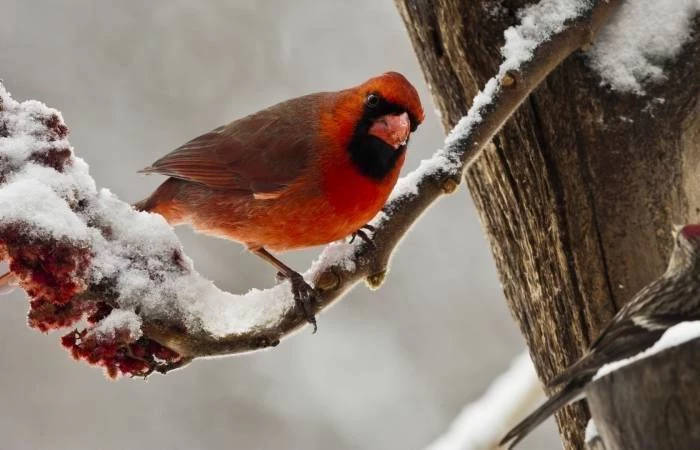 Приметы и поверья на сегодня, 19 февраля 2025 года: запреты, которые могут помочь избежать неприятностей