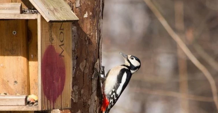 Иванов день 9 марта 2025 года славится своими обычаями и приметами