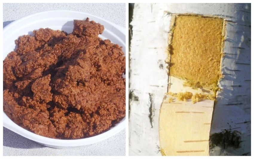 7 самых странных блюд, которые ели наши предки