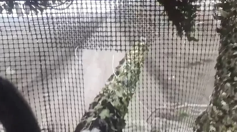 ВС РФ вплотную подошли к юго-восточной границе Харьковской области и взяли под контроль участок дороги на Боровую