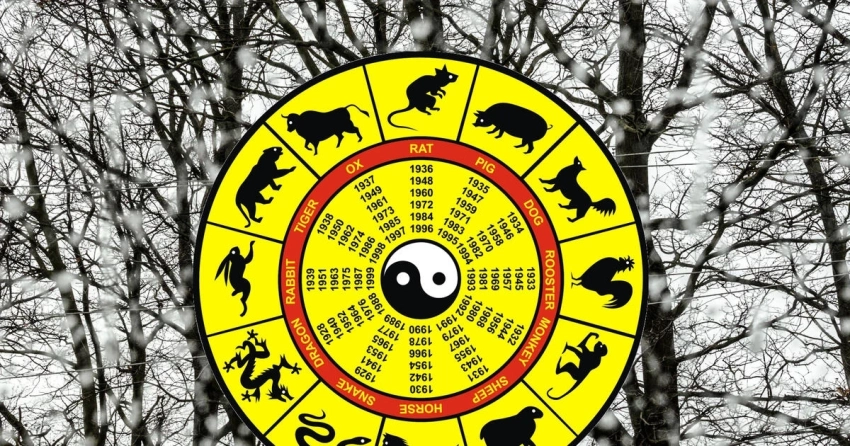 Важно вовремя остановиться: восточный гороскоп на неделю с 15 по 21 декабря 2025 года