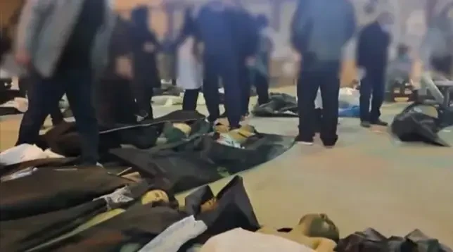 Три орешка для Cinderella Trump