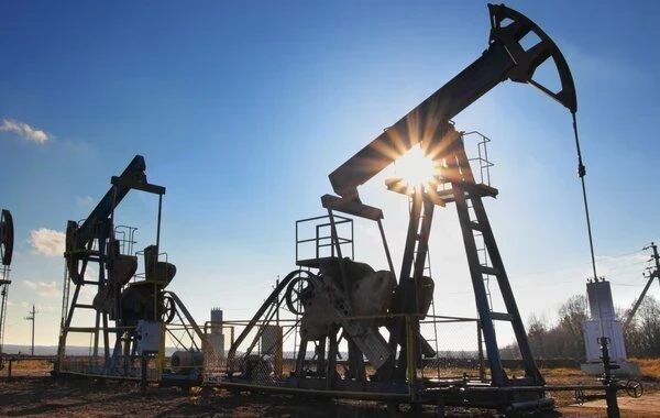 В МИД Индии заявили об автономии от США по вопросу нефти из России