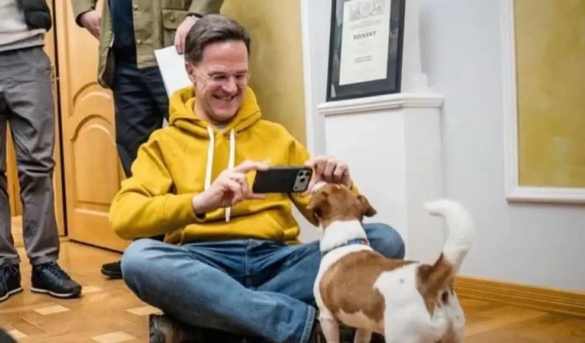 Поговоривший с псом Патроном Рютте расстроен отправкой на переговоры Мединского